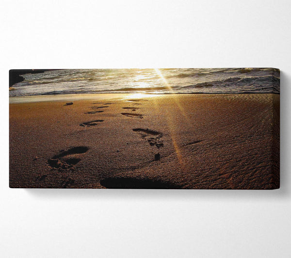 Footsteps Of Time