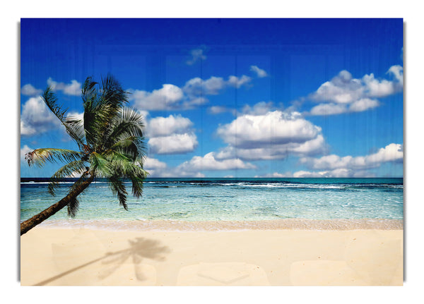 Palm Tree Island Paradise