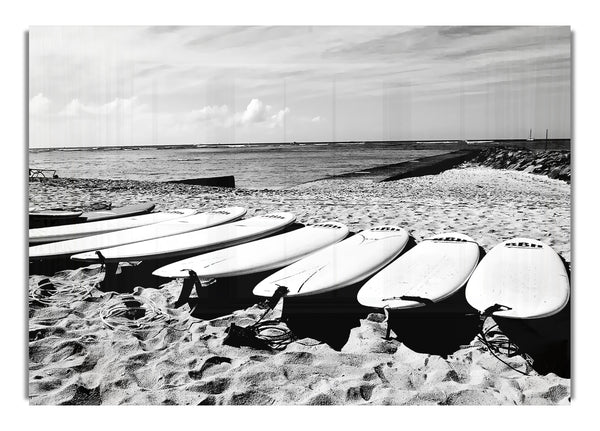 Surfboard Line Up B~w