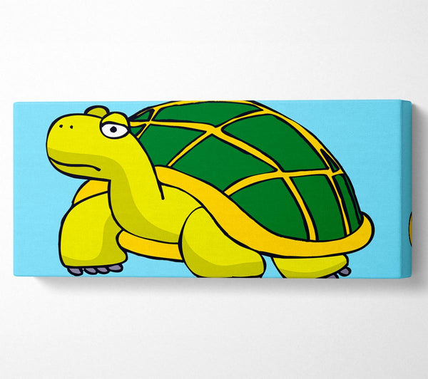 Große Schildkröte Baby Blau 