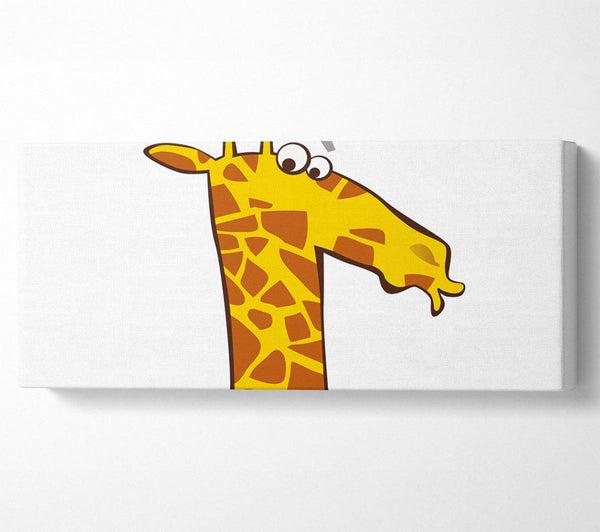 Funny Confused Zebra White