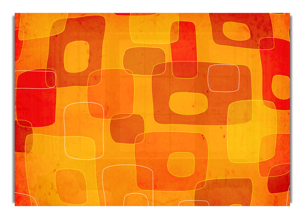 Burst Of Colour