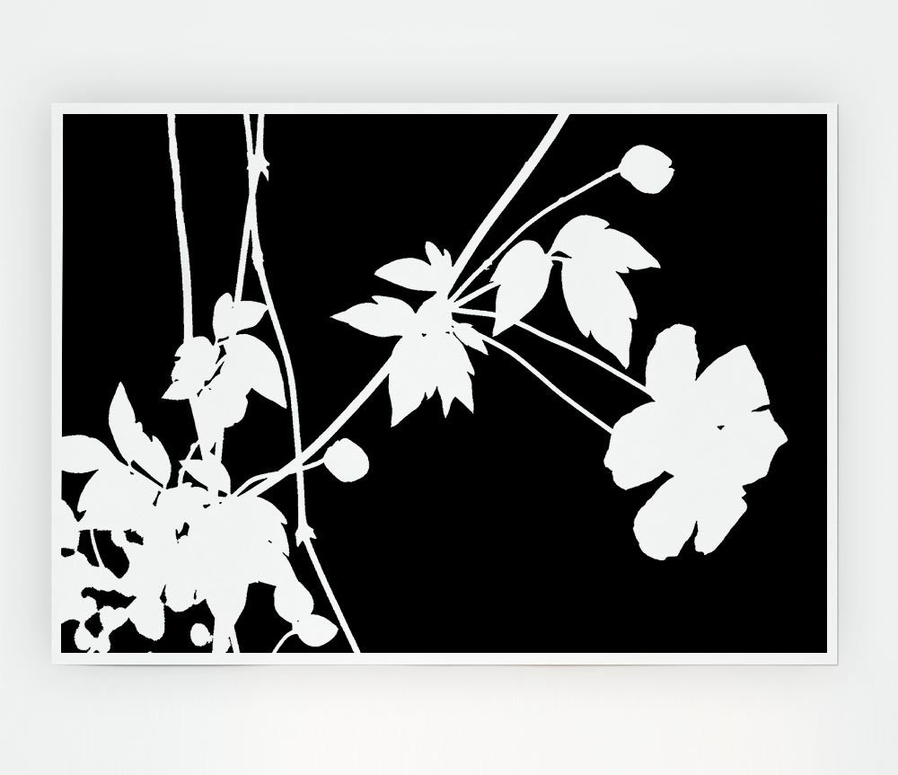 Garden Delight White On Black Print Poster Wall Art