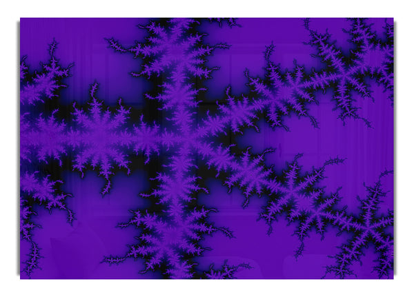 Internal Snow Flake Black On Purple