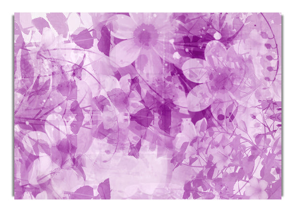 Paradise Lilac