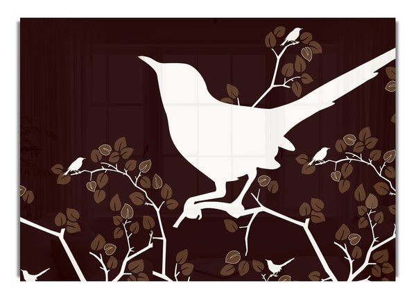 Song Bird Brown