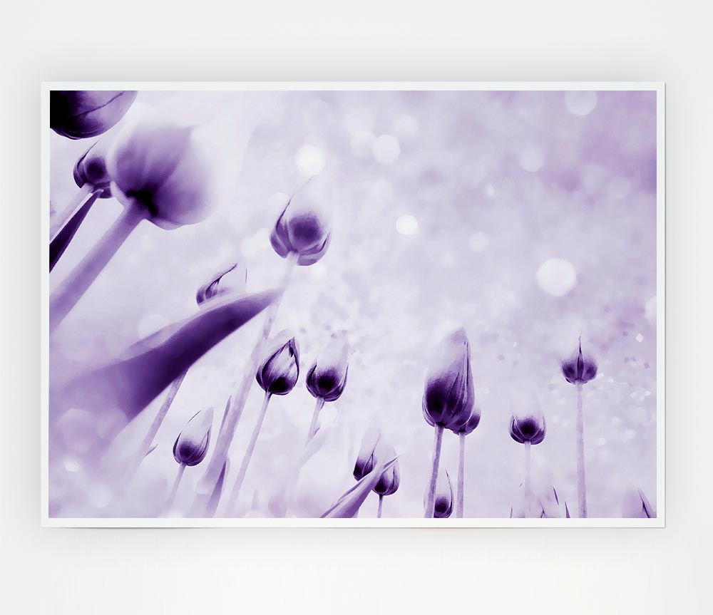 Attention Lilac Print Poster Wall Art