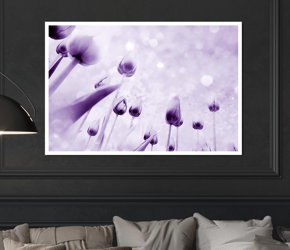 Attention Lilac Print Poster Wall Art