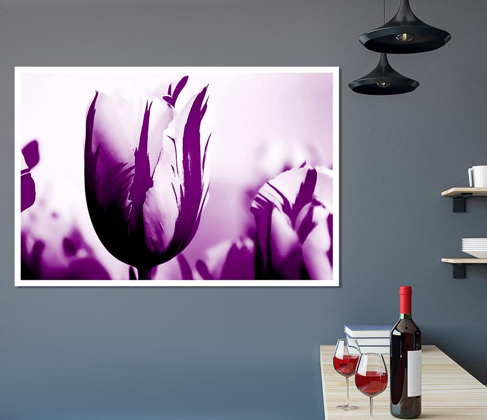 Gem Of A Tulip Purple Print Poster Wall Art