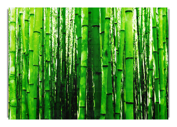 Green Bamboo 1