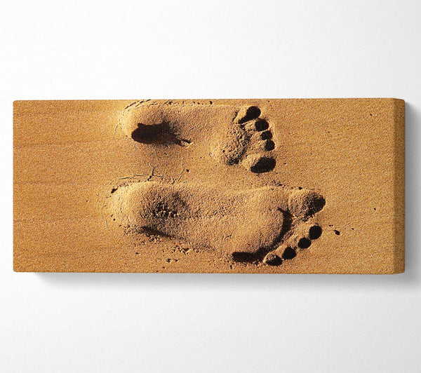 Footprints In The Sands Of Time