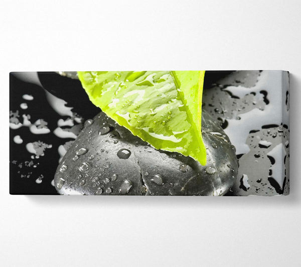 Zen-Stein und Blatt