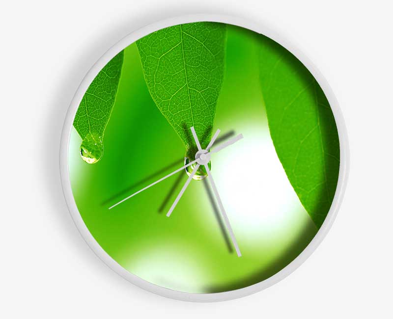 Tree Leaves With Dew Clock - Wallart-Direct UK