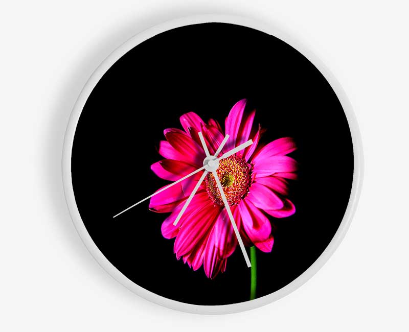 Hot Pink Gerber Daisy Clock - Wallart-Direct UK