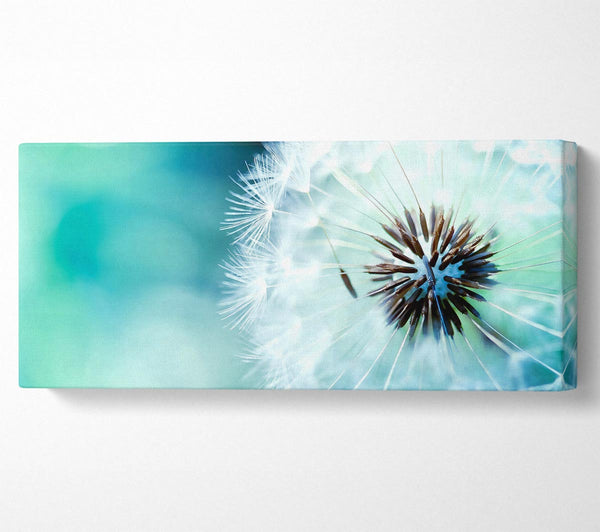 Dandelion Flower Wish