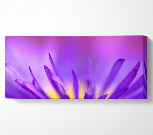 Delicate Purple Petals