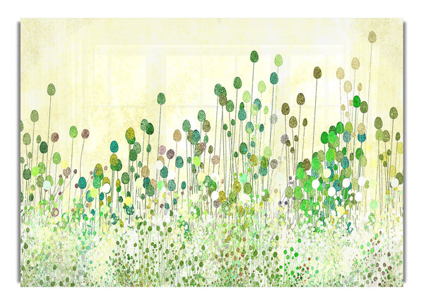 Poppy Buds Vintage Art