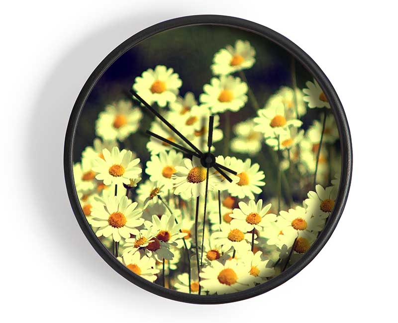 Vintage Daisies Clock - Wallart-Direct UK