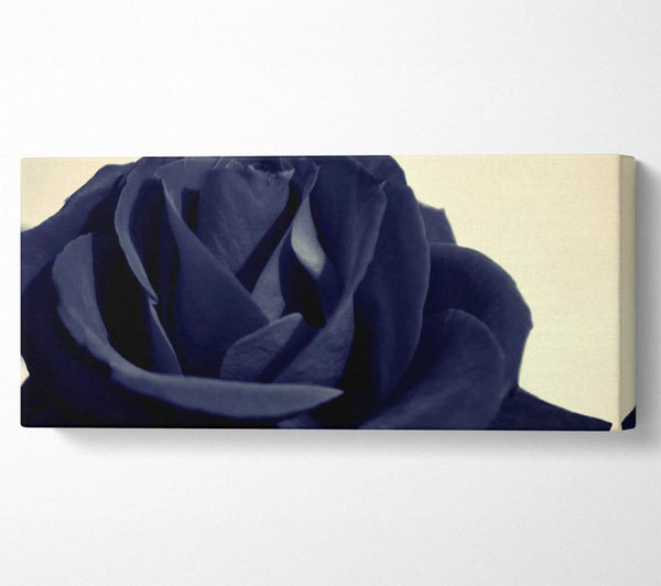 Schwarz Blau Rose