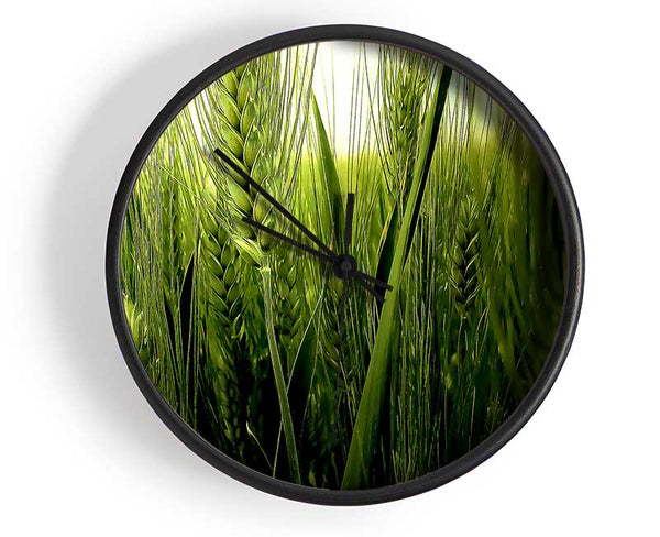 Life Below The Reeds Clock - Wallart-Direct UK