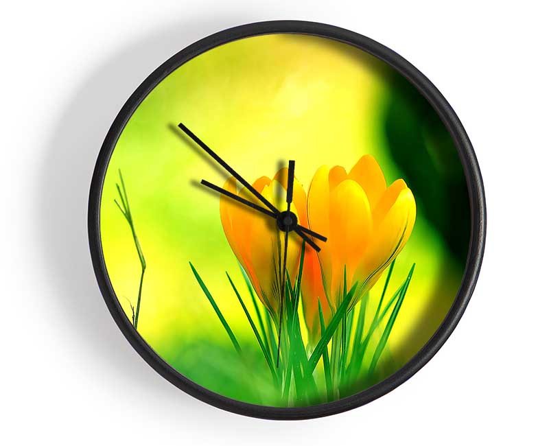 Yellow Crocus Flowers Clock - Wallart-Direct UK