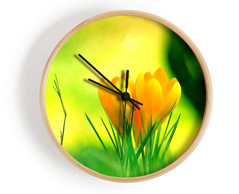 Yellow Crocus Flowers Clock - Wallart-Direct UK