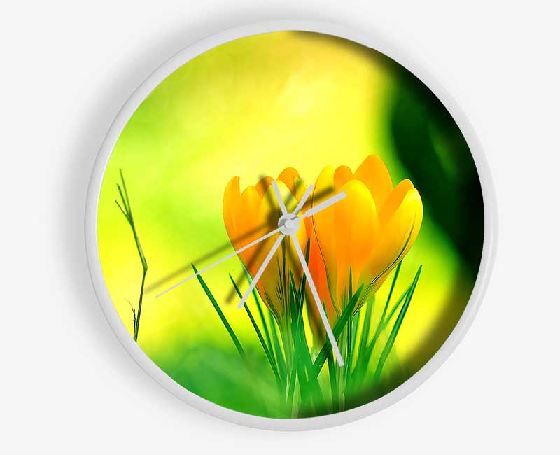Yellow Crocus Flowers Clock - Wallart-Direct UK