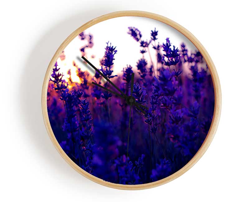 Lavender Field And Sunset Clock - Wallart-Direct UK