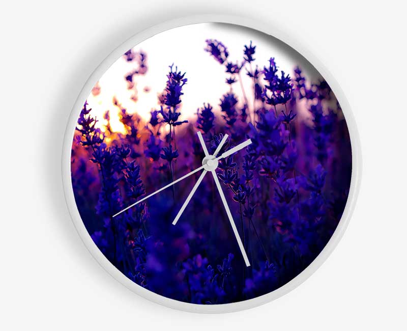Lavender Field And Sunset Clock - Wallart-Direct UK
