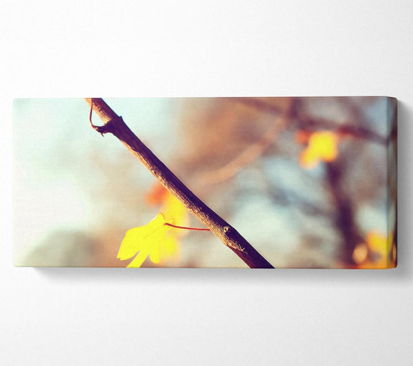 Herbst 2