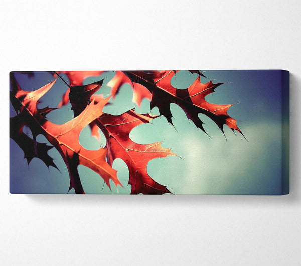Fall Oak Leaves 2