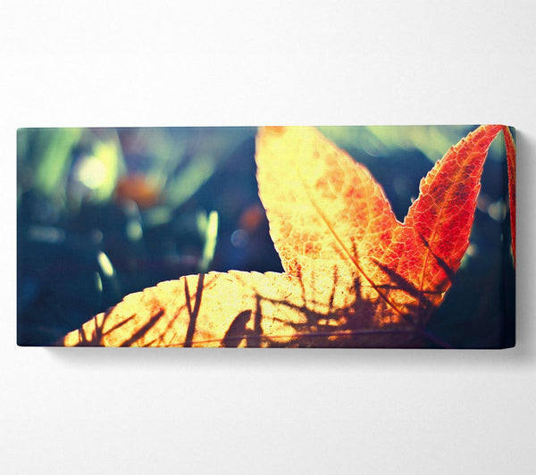 Fallen Leaf