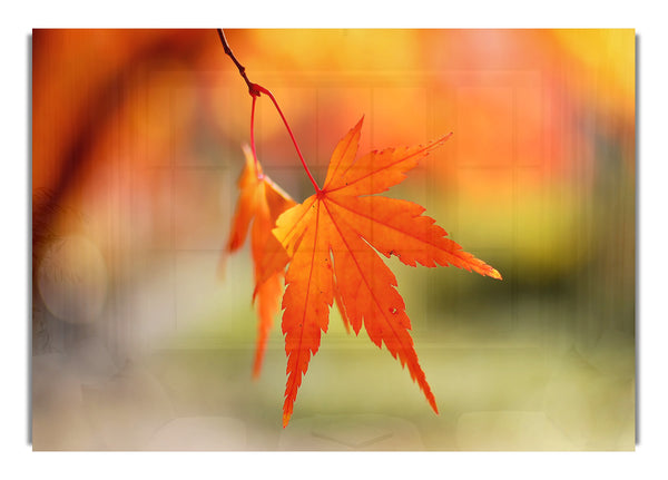 Orangefarbenes Blätter-Bokeh