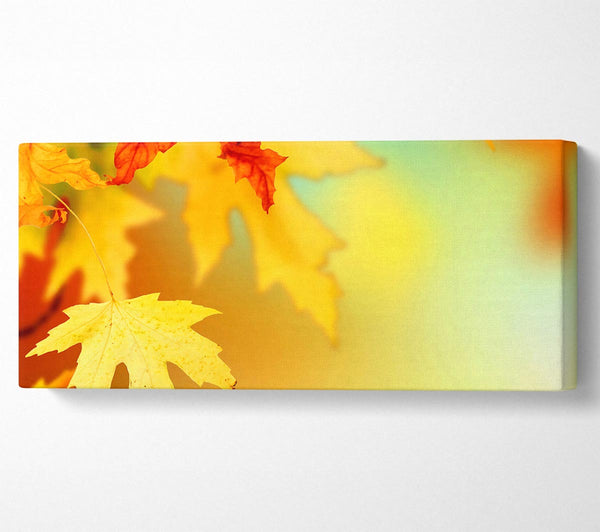 Yellow Autumn Leaves Macro