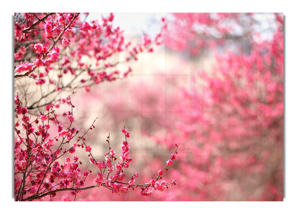 Spring Signs 2