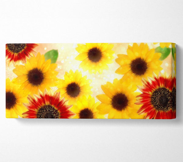 Sonnenblumengesichter