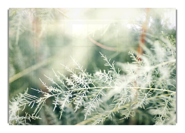 Natur Landschaft 31