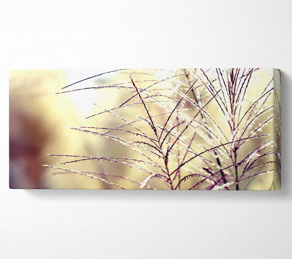 Wildblumen im Sonnenlicht