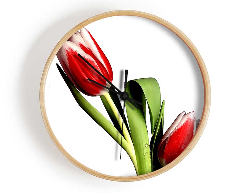 Tulip Model Clock - Wallart-Direct UK