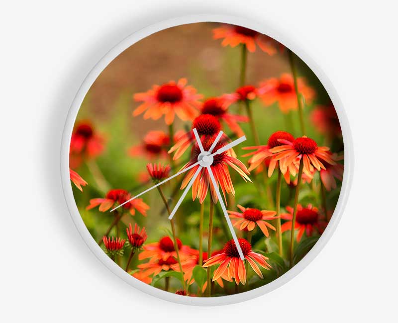 Variety Daisies Clock - Wallart-Direct UK