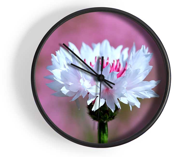 Tiny Flower Clock - Wallart-Direct UK