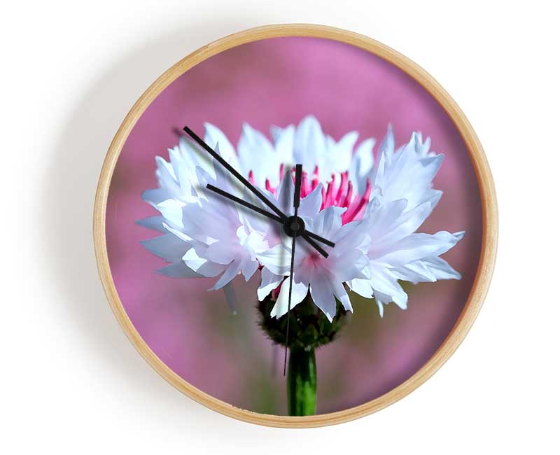 Tiny Flower Clock - Wallart-Direct UK