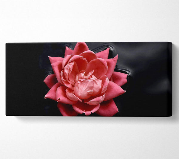 Floating Flower