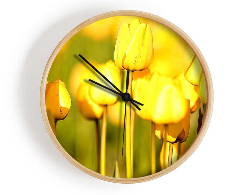 Yellow Tulips In The Garden Clock - Wallart-Direct UK