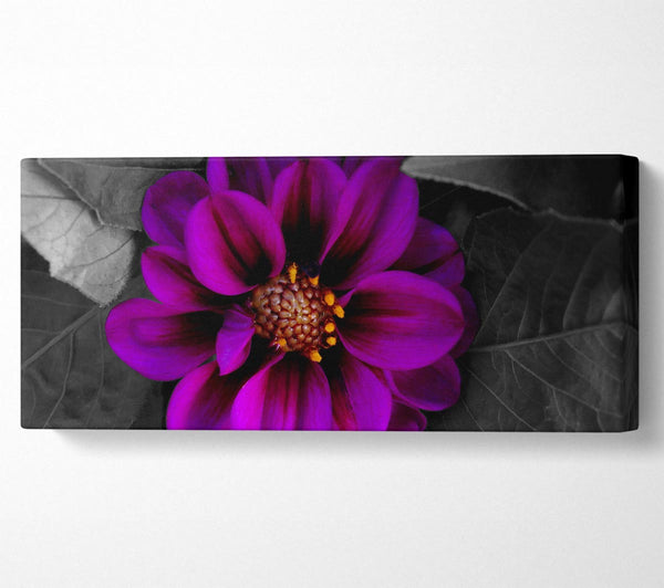Fall Flower