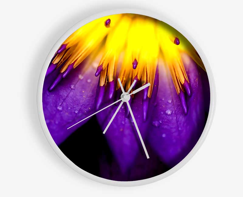 Water Lily Purple Yellow Clock - Wallart-Direct UK