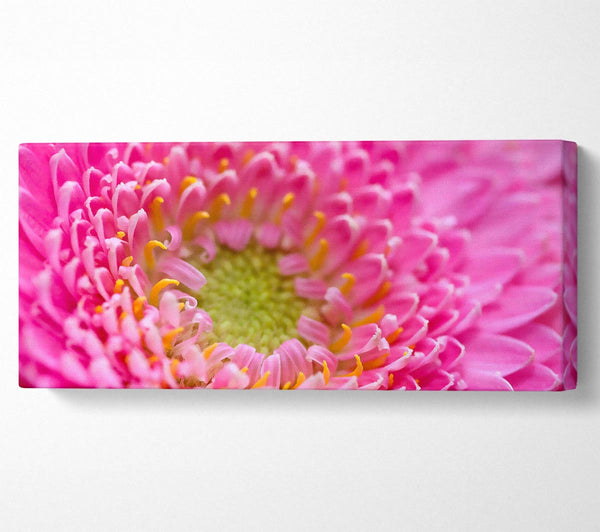 Pink Flower Centre