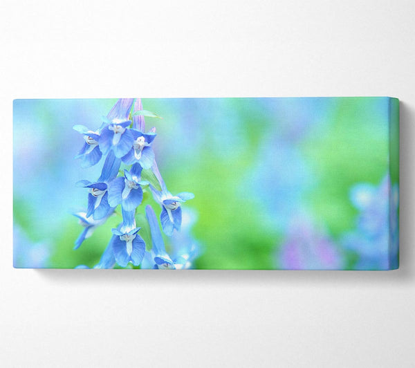 Soft Focus Kleine blaue Blumen