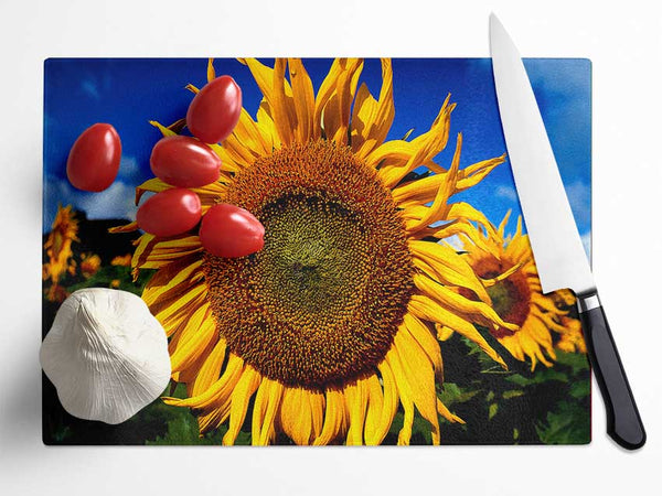 Huge Sunflower Faces Glass Chopping Board