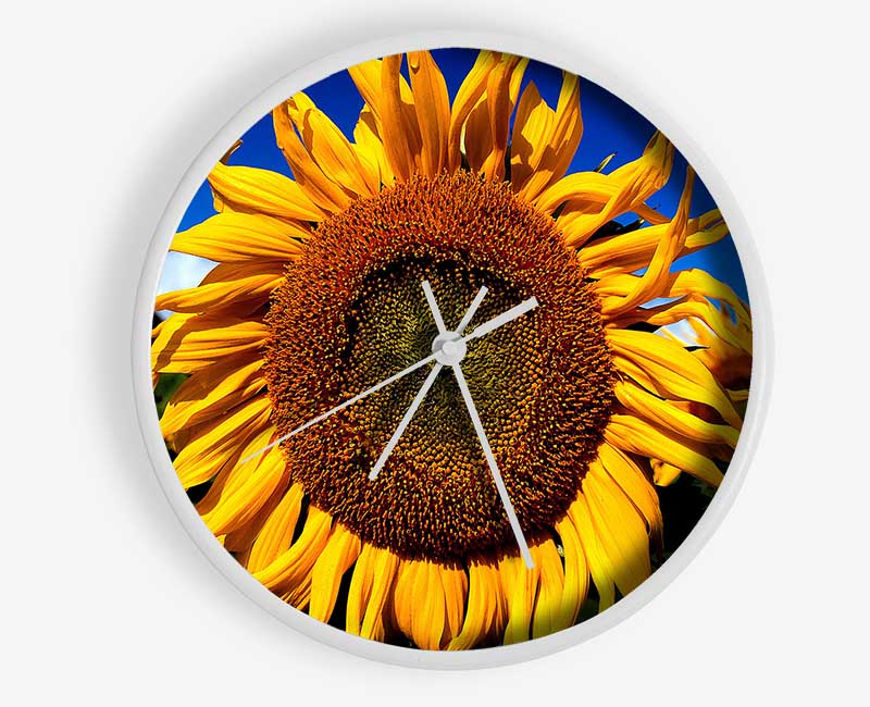 Huge Sunflower Faces Clock - Wallart-Direct UK